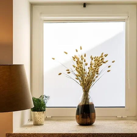 Boina Studio Apartment - Elegant And Modern Studio شقة فيلا نوفا دي غايا